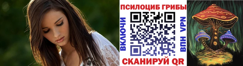 Псилоцибиновые грибы Magic Shrooms mega tor shop телеграм Жердевка